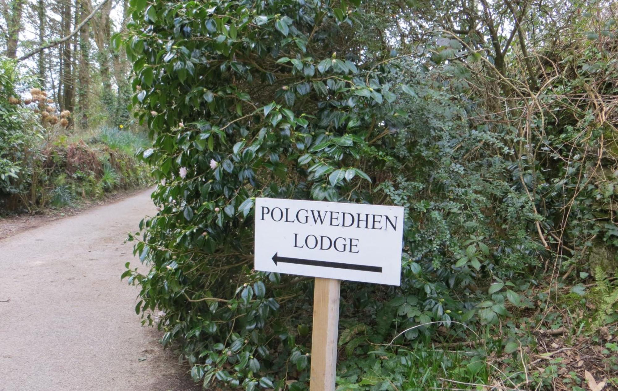 Polgwedhen Lodge Truro Extérieur photo